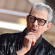 Image for article titled Nat Geo hires Jeff Goldblum to walk around, being professionally fascinated by things